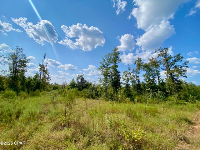 40 acres Swan Lane, Campbellton, FL 32426