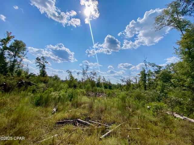 40 acres Swan Lane, Campbellton, FL 32426