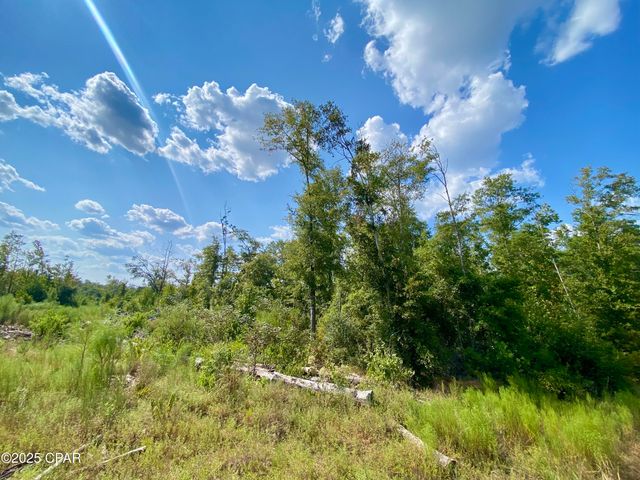 40 acres Swan Lane, Campbellton, FL 32426