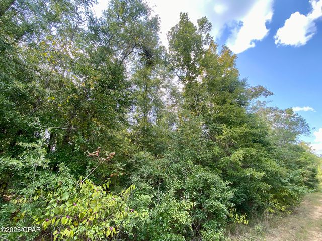 40 acres Swan Lane, Campbellton, FL 32426