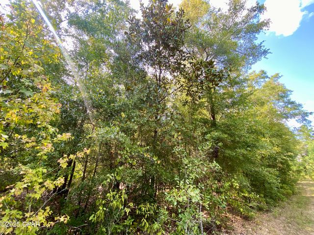 40 acres Swan Lane, Campbellton, FL 32426