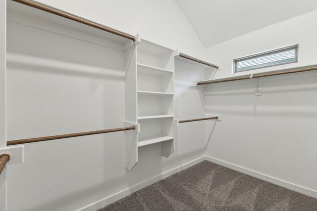 299 Bright Alcove Court, Lavon, TX 75166