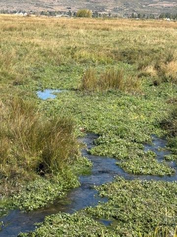 3001 N STATE ROAD 32, Marion, UT 84036