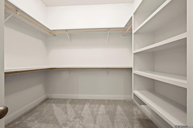 13317 Belle Reine Dr, Geismar, LA 70734