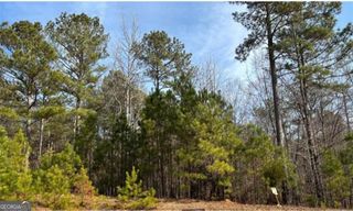 1330 Spinnaker Road, Buckhead, GA 30625