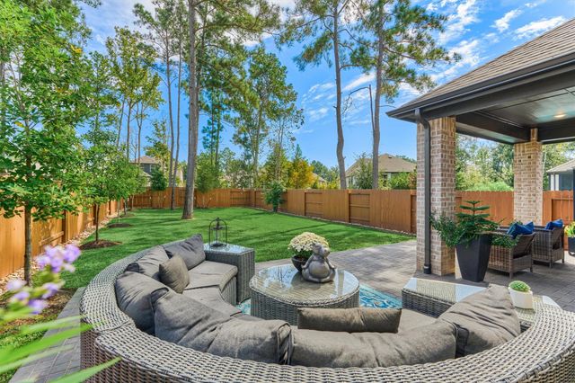 221 Sky Top Drive, Montgomery, TX 77316