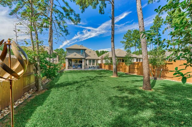 221 Sky Top Drive, Montgomery, TX 77316