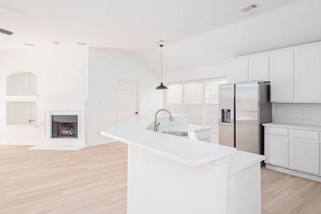 2808 Palo Duro Canyon Drive, Mckinney, TX 75072