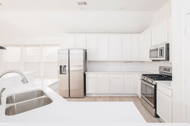 2808 Palo Duro Canyon Drive, Mckinney, TX 75072