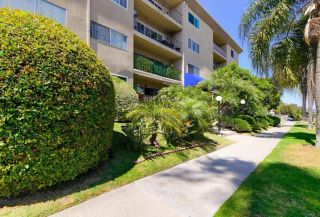 1830 Thomas Avenue 3B, San Diego, CA 92109