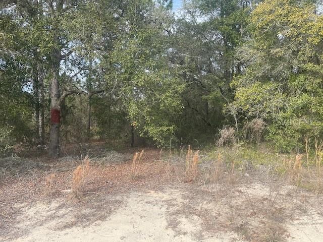0 RAINBOW LAKES ESTATES BLVD, Dunnellon, FL 34431