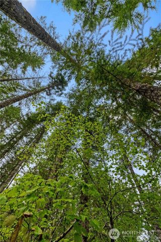 1291 N Potlatch Drive, Hoodsport, WA 98548