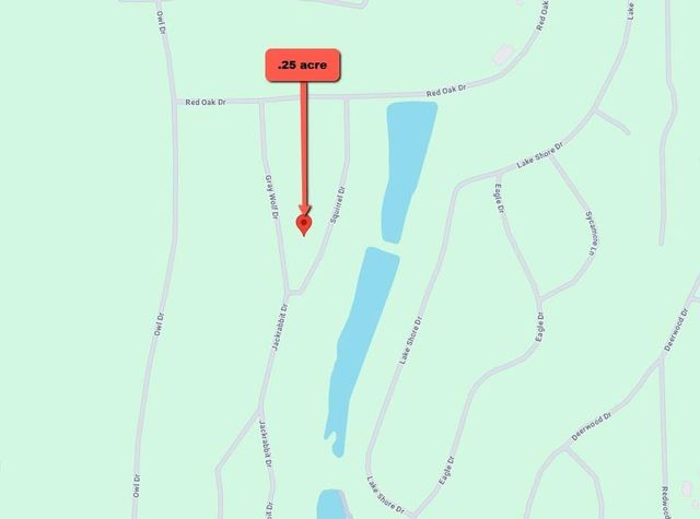 0 Squirrel Drive, Hempstead, TX 77445