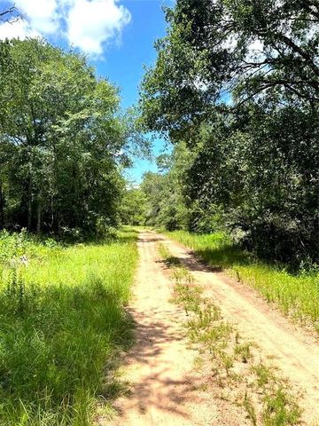 0 Squirrel Drive, Hempstead, TX 77445