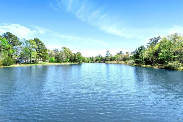 0 Squirrel Drive, Hempstead, TX 77445