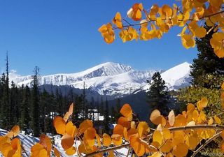 305 S Park #402 Avenue 402, Breckenridge, CO 80424