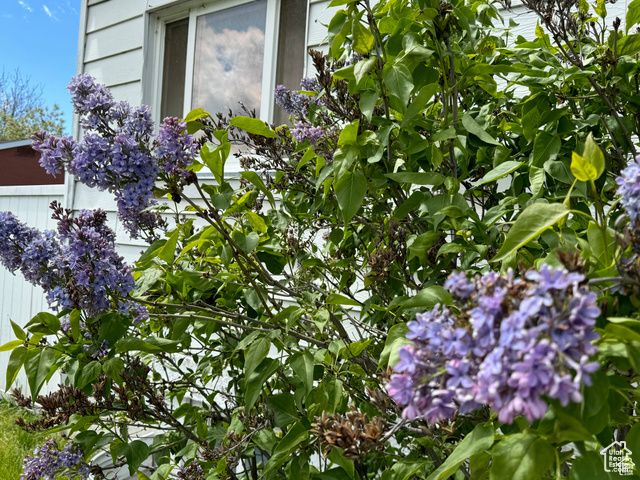 6820 N 2400 W, Amalga, UT 84335