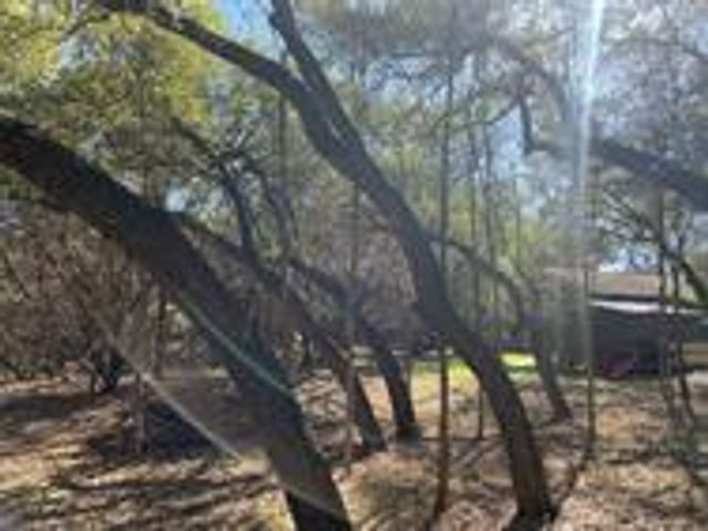 TBD Las Flores, Wimberley, TX 78676