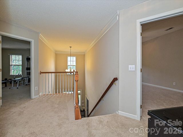 6719 Reedy Creek Road, Charlotte, NC 28215