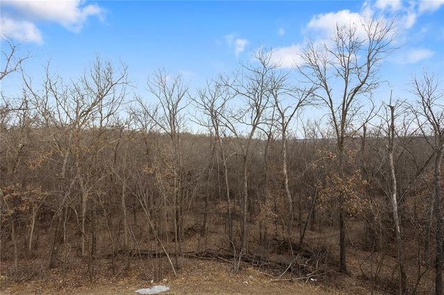 110 E Woodland Avenue, Lone Jack, MO 64070