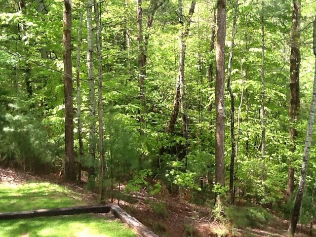 290 Ruby Lane, Ellijay, GA 30540
