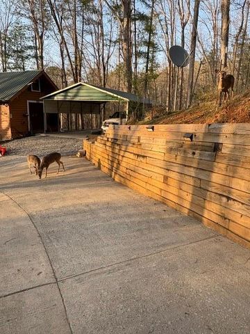 290 Ruby Lane, Ellijay, GA 30540