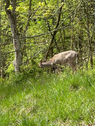 5060 Wheeling Road NE, Lancaster, OH 43130