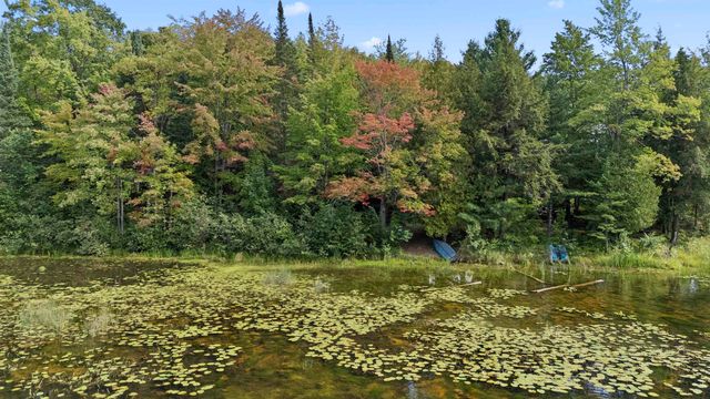 18750 W Knapp Road, Lincoln Twp, MI 49677