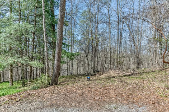 431 Brentwood Pvt Drive, Bristol, TN 37620