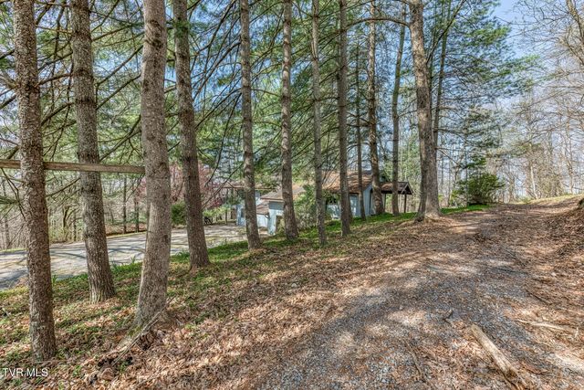 431 Brentwood Pvt Drive, Bristol, TN 37620