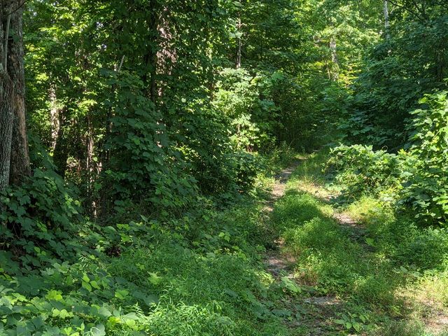 000 Town Mountain Road, Hayesville, NC 28906