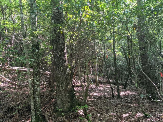 000 Town Mountain Road, Hayesville, NC 28906