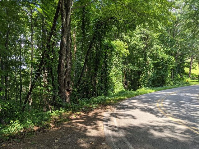 000 Town Mountain Road, Hayesville, NC 28906