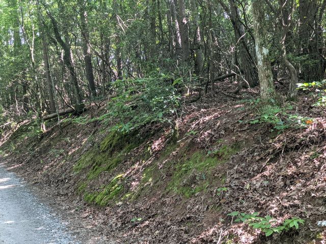 000 Town Mountain Road, Hayesville, NC 28906