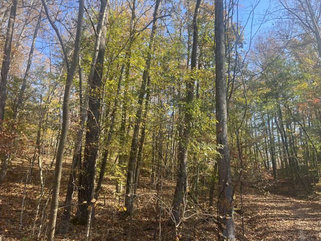 0 Arrow Head Circle, Parsons, TN 38363