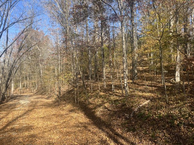 0 Arrow Head Circle, Parsons, TN 38363