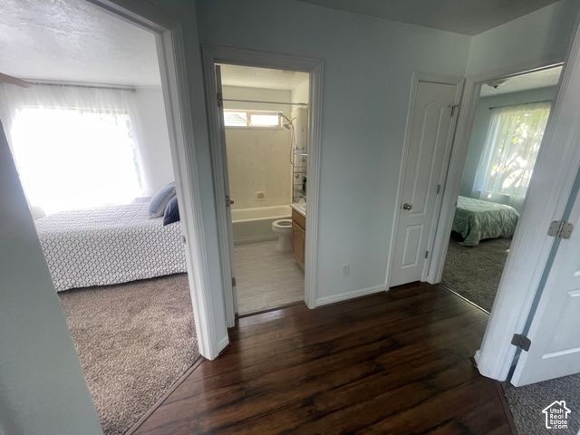1706 W RENAISSANCE, Springville, UT 84663