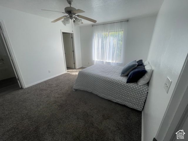 1706 W RENAISSANCE, Springville, UT 84663