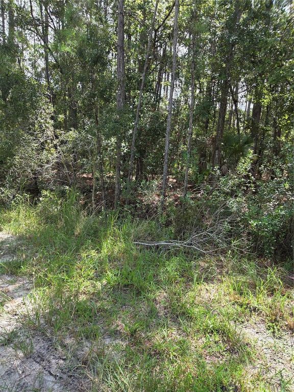 SW 140TH AVE, Ocala, FL 34481