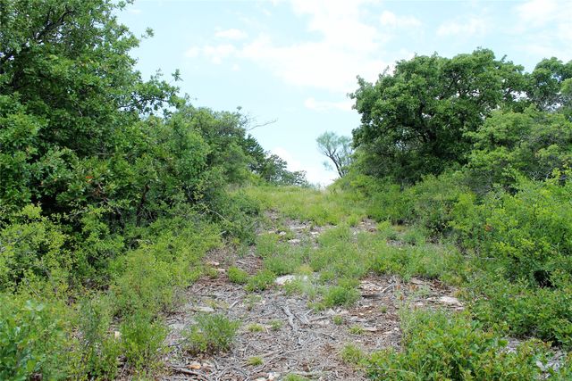 207 Hidden Shores Drive, Cisco, TX 76437