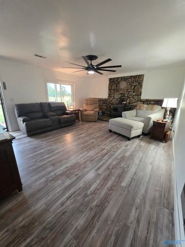 987 County Road 342, Fyffe, AL 35971