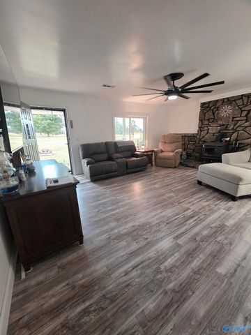 987 County Road 342, Fyffe, AL 35971