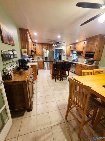 987 County Road 342, Fyffe, AL 35971