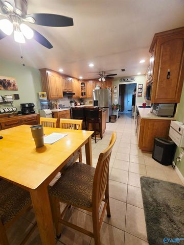 987 County Road 342, Fyffe, AL 35971