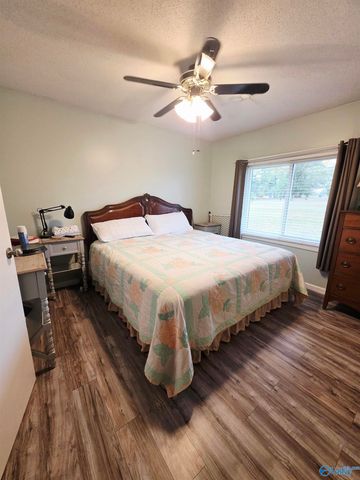 987 County Road 342, Fyffe, AL 35971