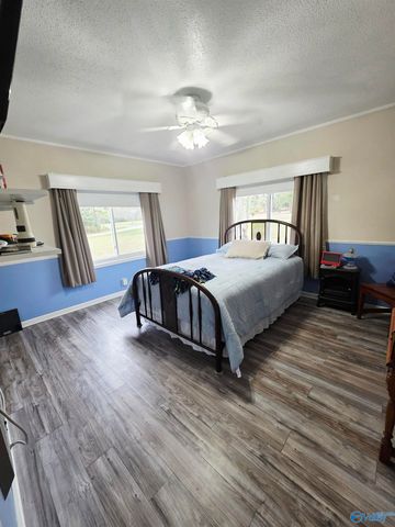 987 County Road 342, Fyffe, AL 35971