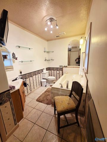 987 County Road 342, Fyffe, AL 35971