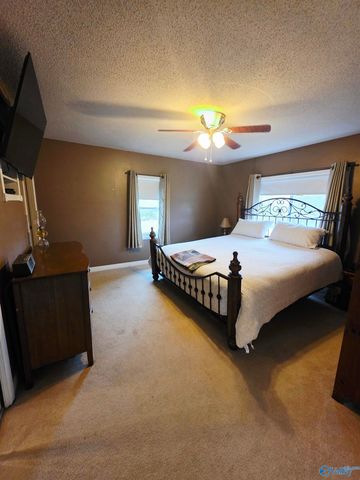 987 County Road 342, Fyffe, AL 35971