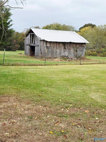 987 County Road 342, Fyffe, AL 35971