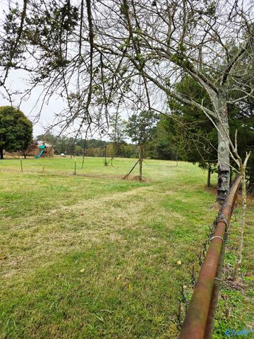 987 County Road 342, Fyffe, AL 35971